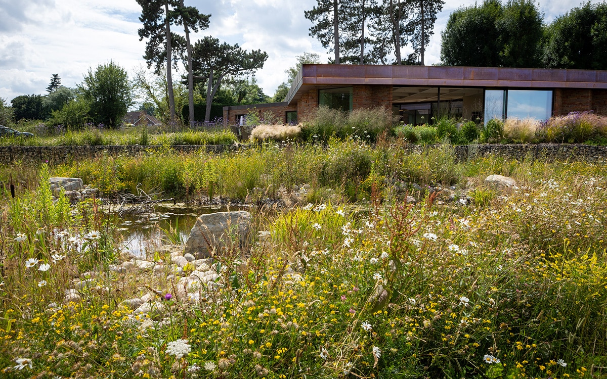 Foxglove House by James Smith MSGLD