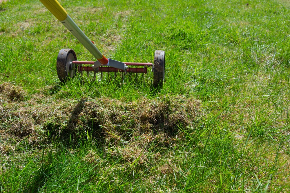 Scarifying a lawn
