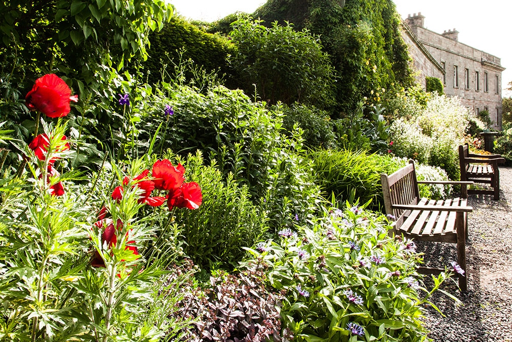Cumbrian gardens