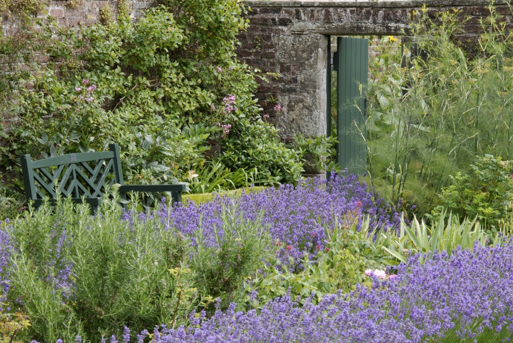 Cumbrian gardens