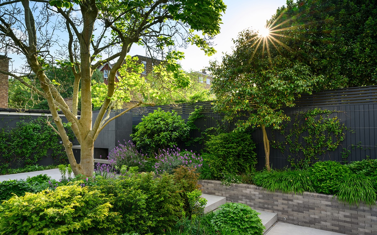 South West London Garden by by Tomoko Kawauchi MSGLD at Charlotte Rowe Garden Design