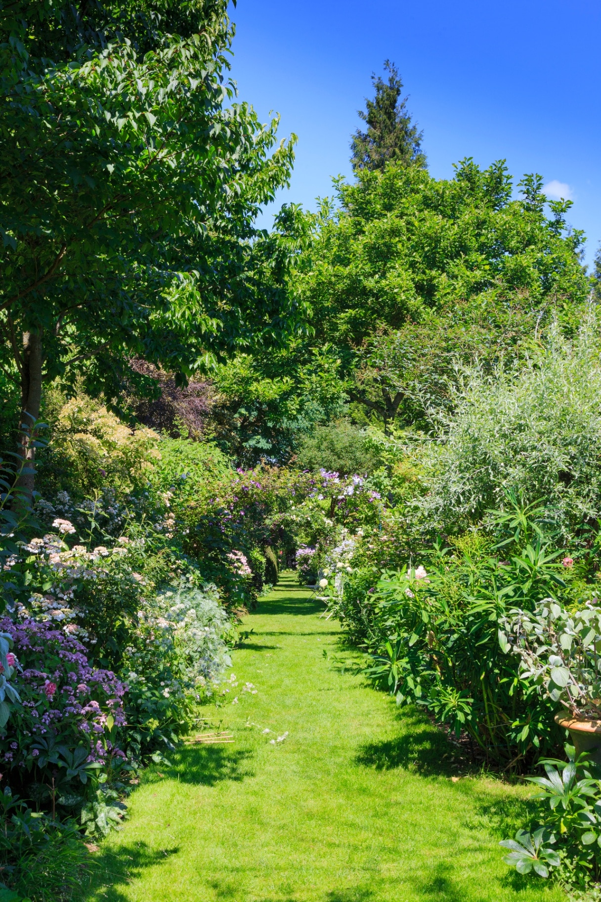 Garden in Montmain Normandy, France