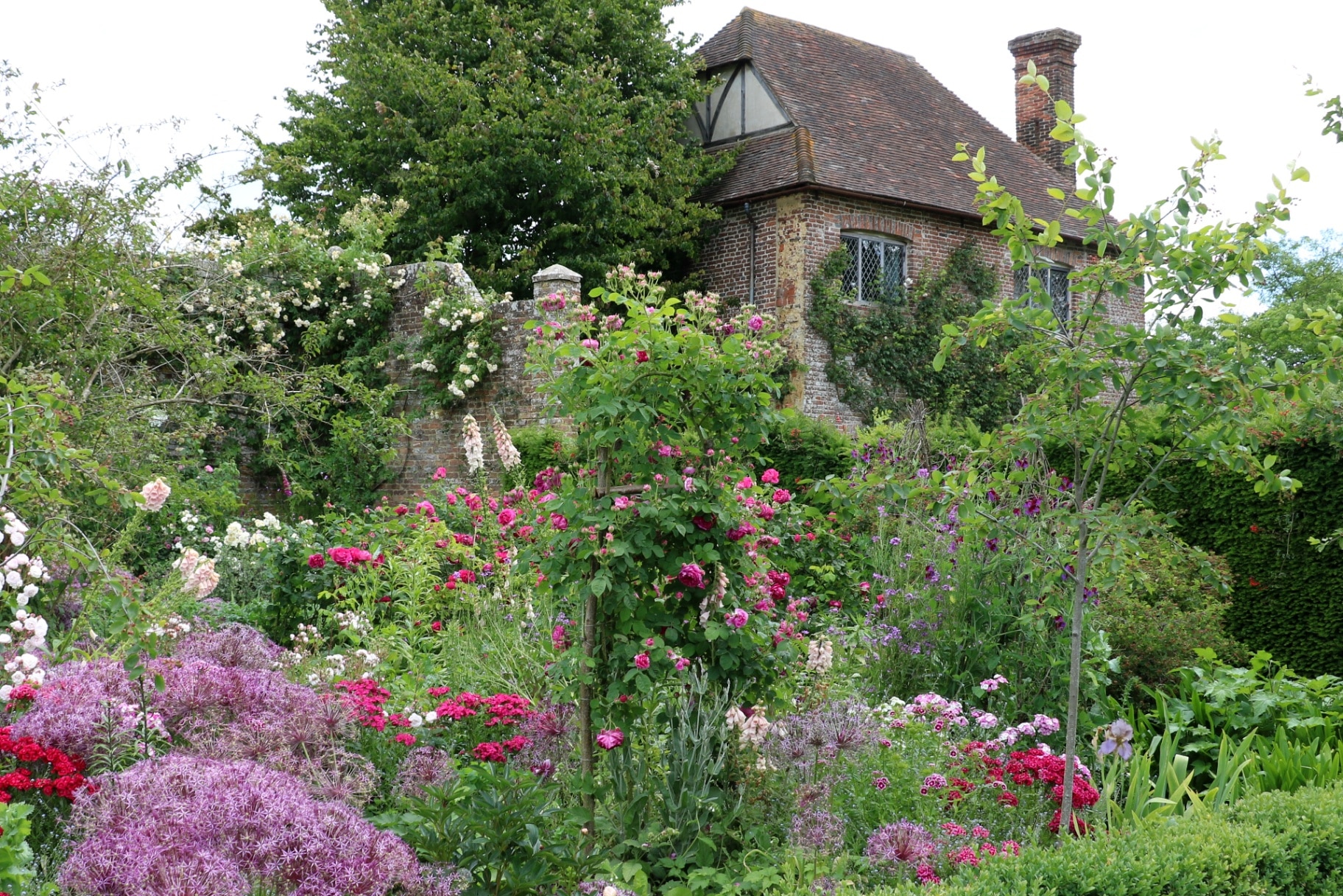 summer flowers in pink and red in cottage garden Sissinghurst England