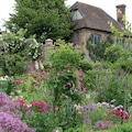 summer flowers in pink and red in cottage garden Sissinghurst England