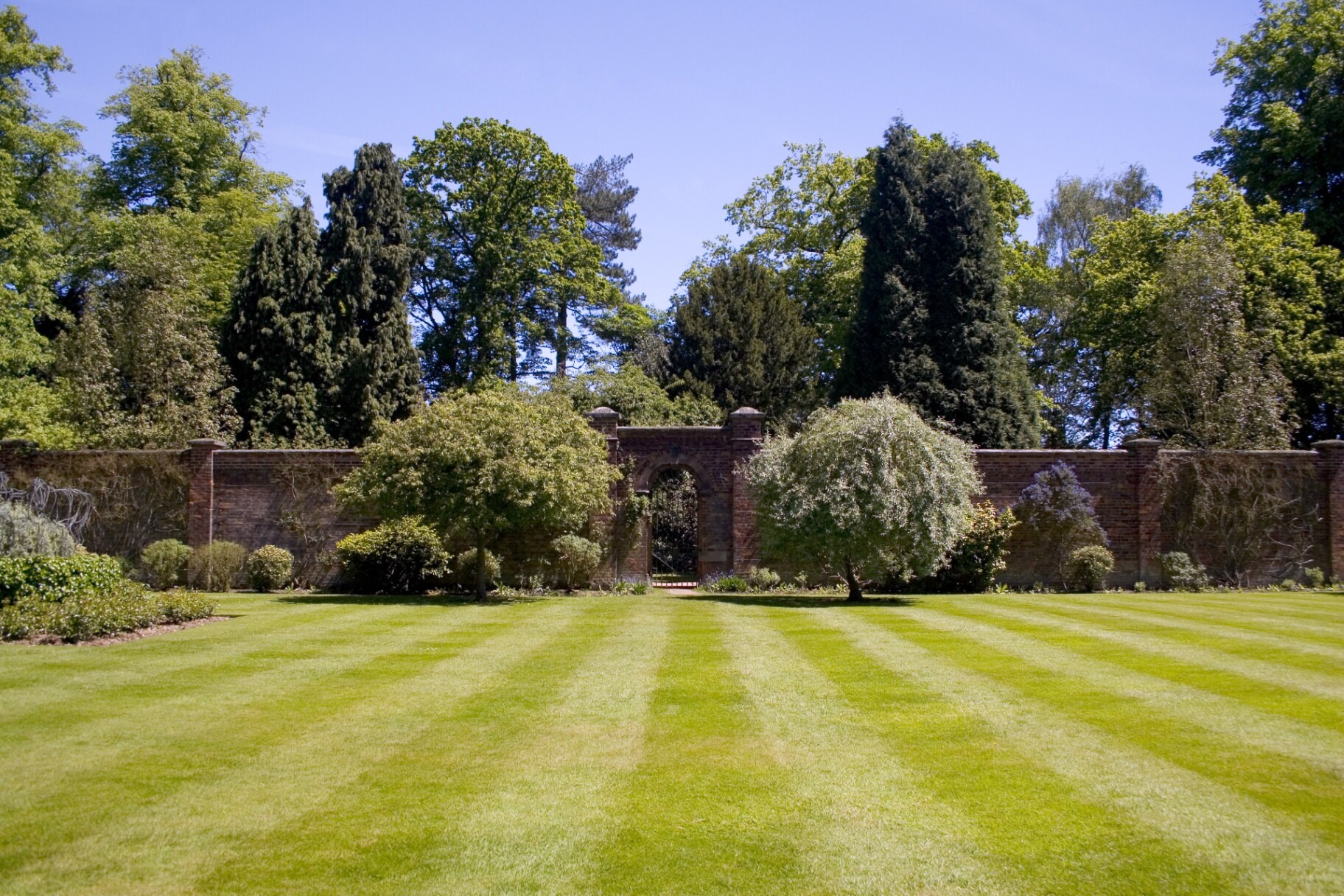 A walled garden with a beautiful lawn