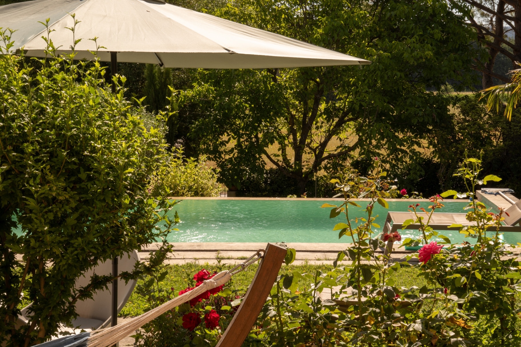 Swimming pool in a beautiful mediterranean garden landscape. A parasol, flowering rose bushes and part of a hammock protrude into the picture. Emerald green water