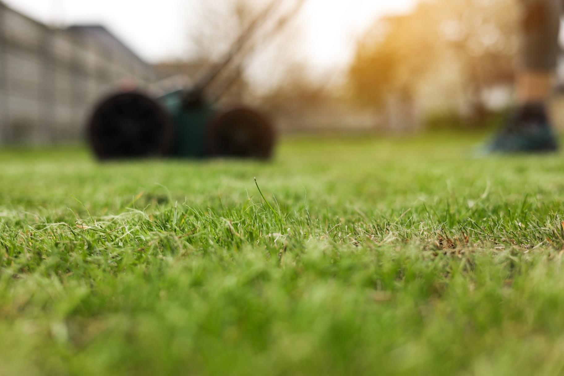 Green electric aerator scarifier for soil cultivation and compaction on bright lush green lawn grass.