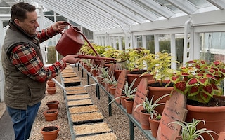 West Dean's head gardener Tom Brown trials composts in the garden's glasshouses.