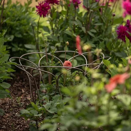 Bulb/peony support 