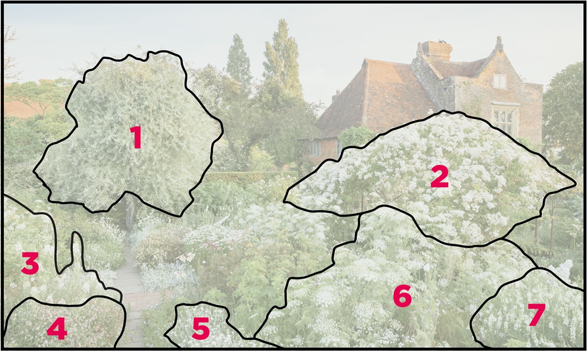 the White Garden at Sissinghurst