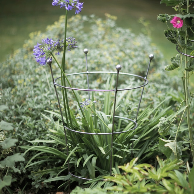 Barrington large flared plant support