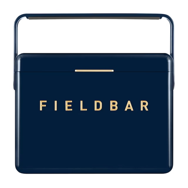 Mini bar cooler
