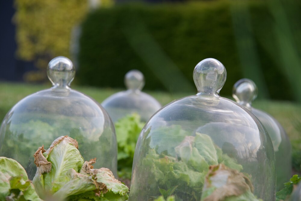 Cloches