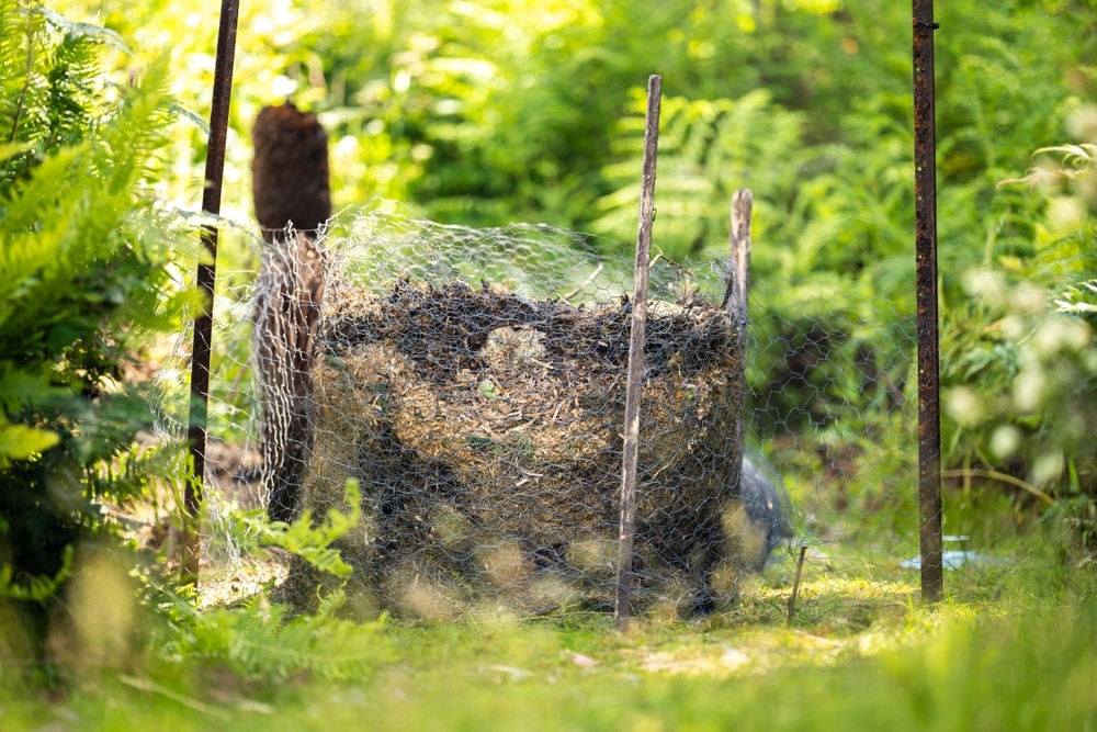 Wire mesh compost bin in garden