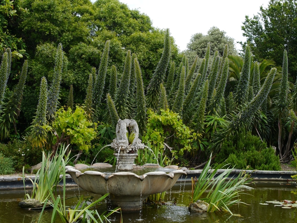 Ventnor Botanic Garden
