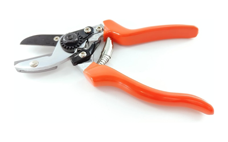 Burgon & Ball RHS Endorsed Anvil Secateur