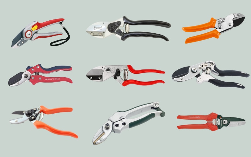 best anvil secateurs 