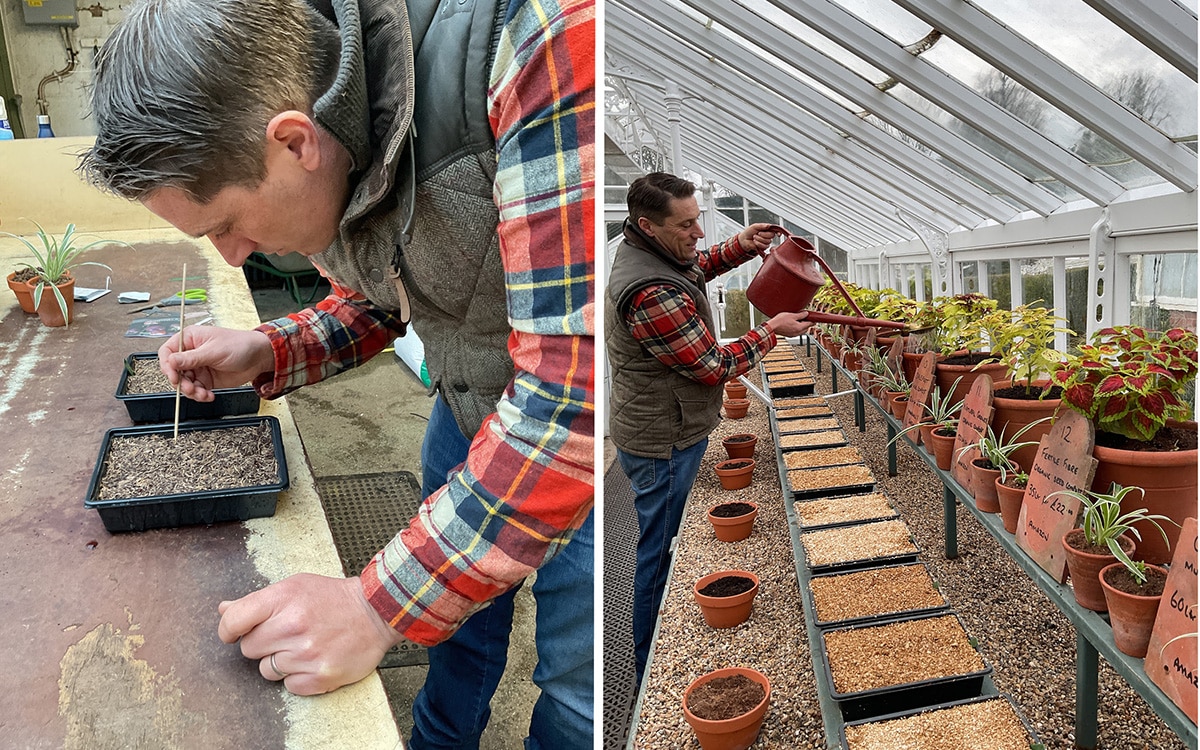 Tom Brown peat free compost trial