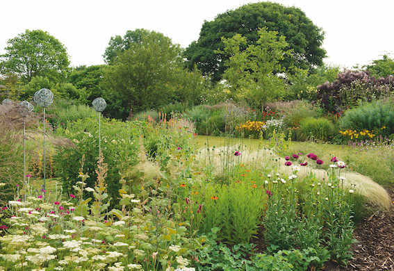 Bluebell Cottage Gardens